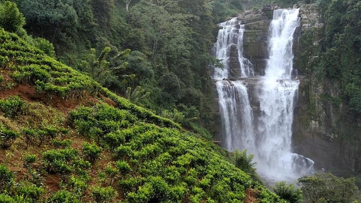 Экскурсия в горную Шри-Ланку: Элла и её легенды