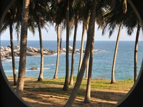 Turtle Bay