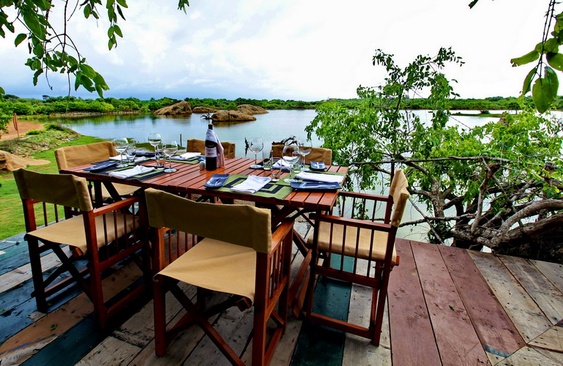 Cinnamon Wild Yala