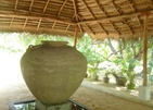 Palagama Beach