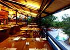 Cinnamon Wild Yala