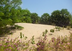 Palagama Beach